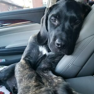 Meet your Posher, Kim